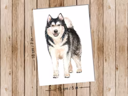 Dog Alaskan Malmute - Art print