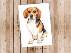 Dog Beagle - Art print