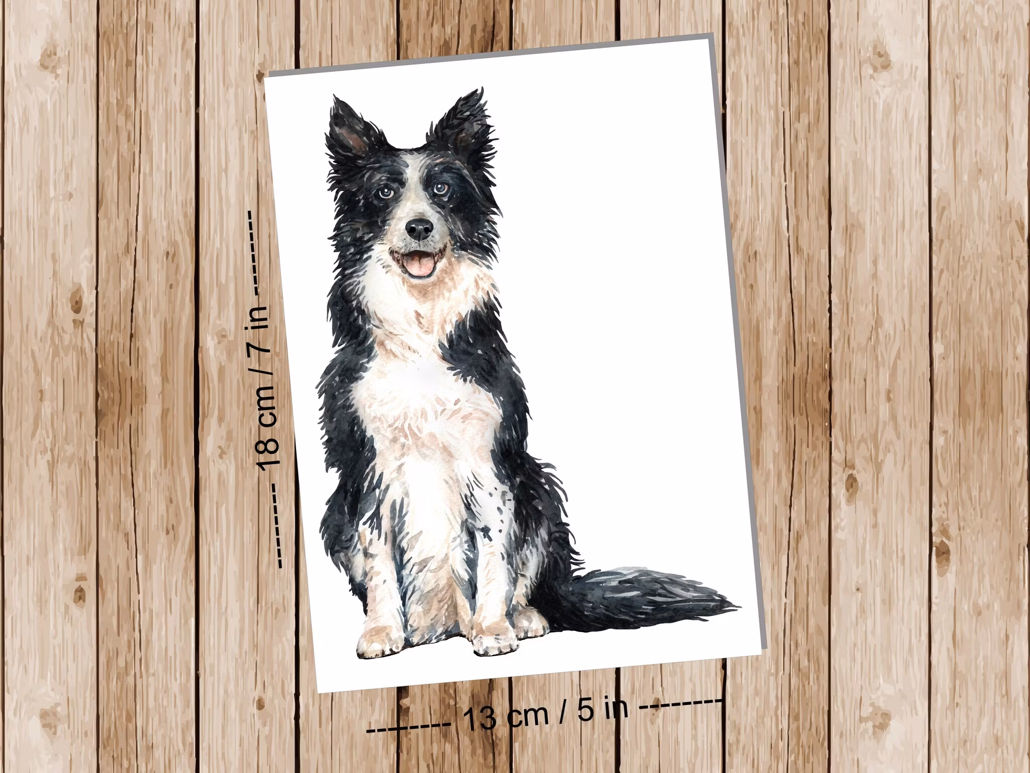 Dog Border Collie - Art print