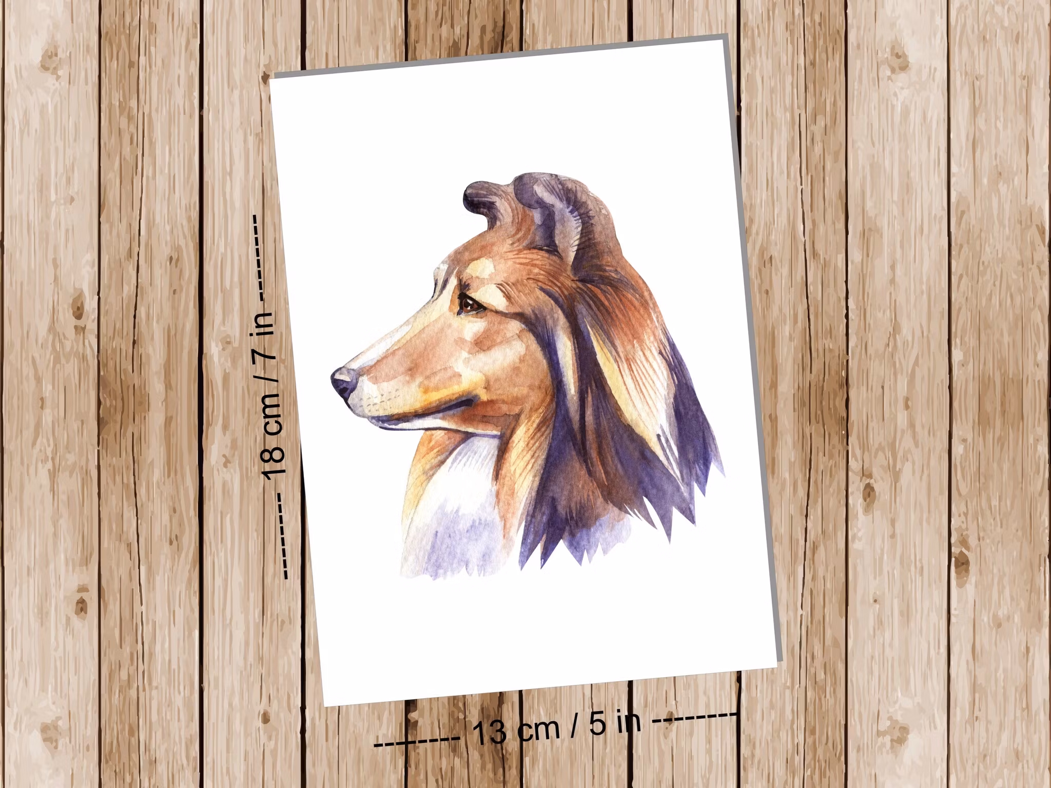 Dog Collie - Art print