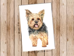 Dog Yorkshite Terrier - Art print