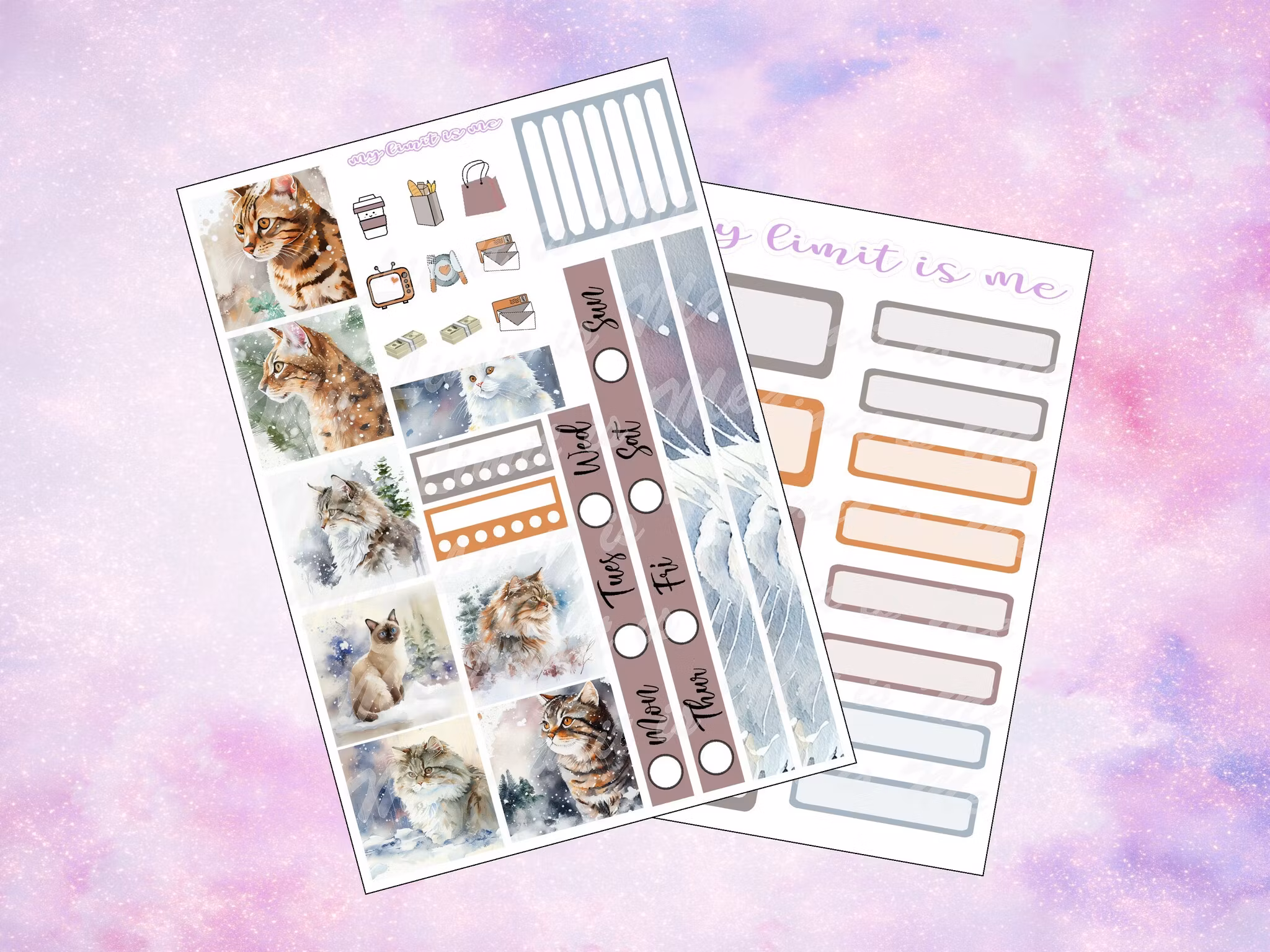 Hobonichi Cousin - CATS