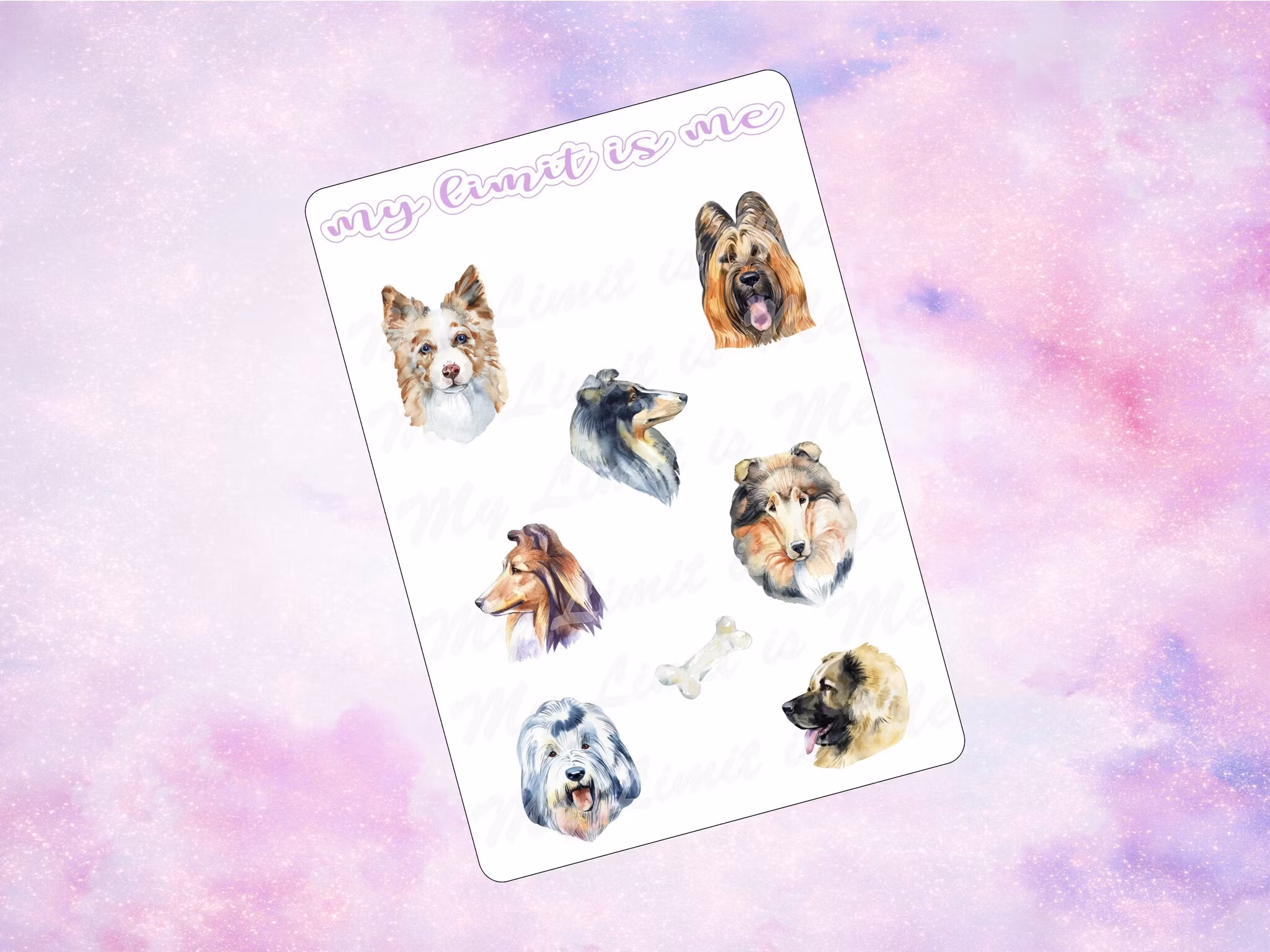 Dogs