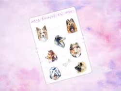 Dogs