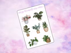 Plants