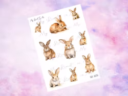 SS1031 Bunny