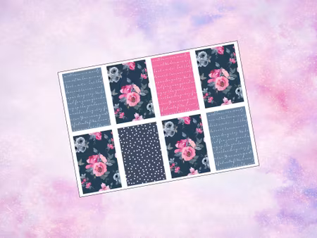 Happy Planner - HP1006 - Pink and Blue