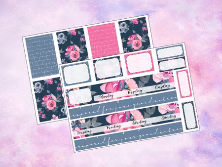 Happy Planner - HP1006 - Pink and Blue