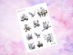 SS1067 - Owls