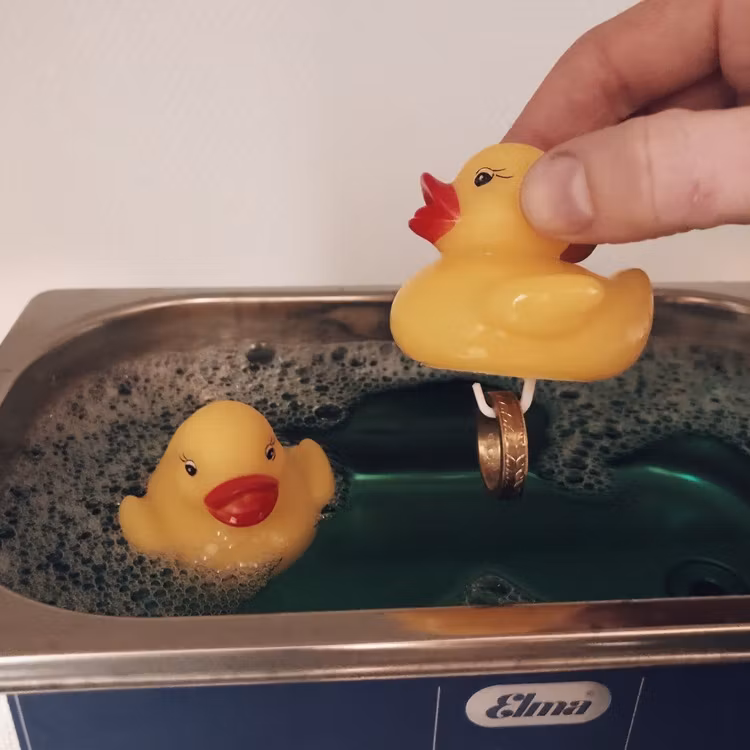 Duck