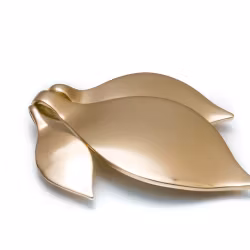 Seed + Sprout + Bloom