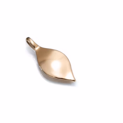 Seed