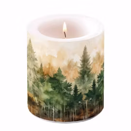 Ljus – Evergreen Trees Brinntid 45 tim