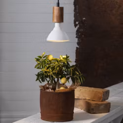 Växtlampa LED-lampa Plant Light E27 PAR38