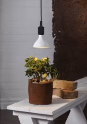 Växtlampa LED-lampa Plant Light E27 PAR38