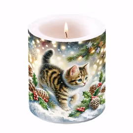 Ljus – Kattunge i snö