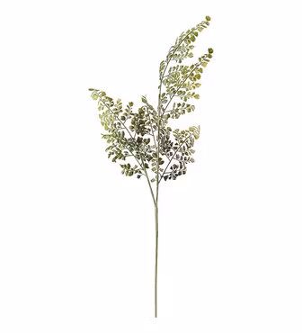 Adiantum Grön 80 cm Konstväxt