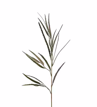 Grevillea Grön Kvist 80 cm (Konstväxt)