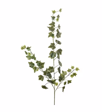 Murgröna Grön Kvist 60 cm (Konstväxt)