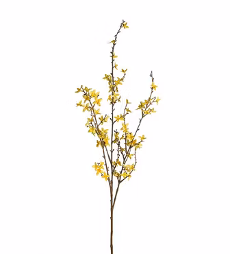 Forsythia 120 cm (Konstväxt)