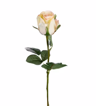 Ros Ljusgul 50 cm (Konstväxt)