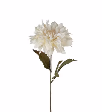 Dahlia Cremefärgad 60 cm (Konstväxt)