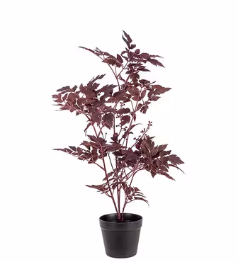 Silverax 75 cm Burgundy (Konstväxt i Kruka)