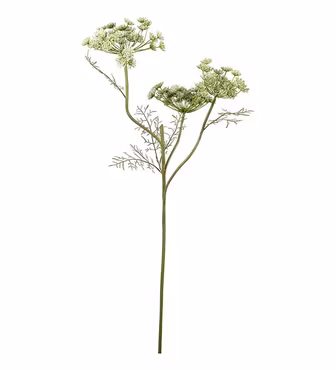 Vildmorot Grön 80 cm (Konstväxt)