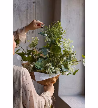 Flockblomma Vit 70 cm (Konstväxt)