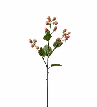 Mullbärskvist Rosa 65 cm (Konstväxt)