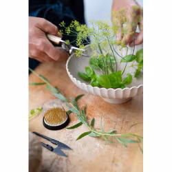 SPIRA Blomsterfakir svart/mässing – 5 cm