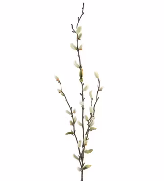 Vide 85 cm – Naturtrogen konstväxt för vas & inredning