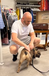 Stable t-shirt