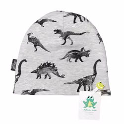 Dinos, Gråmelerad - Mössa, collegetrikå