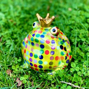 Sparbössa groda från Pomme-padou