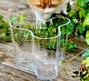 Alvar Aalto vas klar Iittala