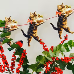 Girlang katt