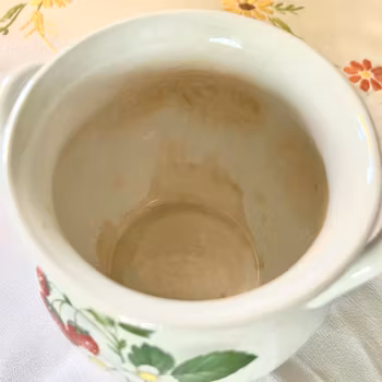 Krus med jordgubbar Portmeirion Pottery England