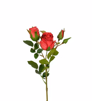 Ros röd 40 cm