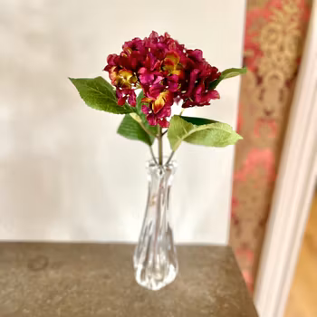Hortensia lila 40 cm