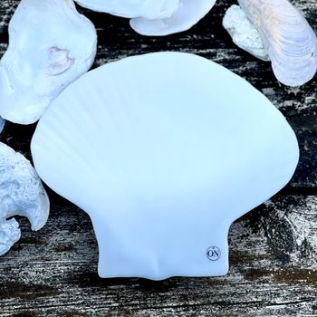 Liten tallrik ”Shell”