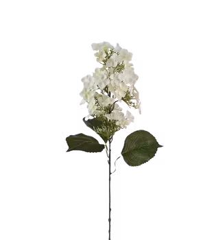 Syrénhortensia vit 80 cm