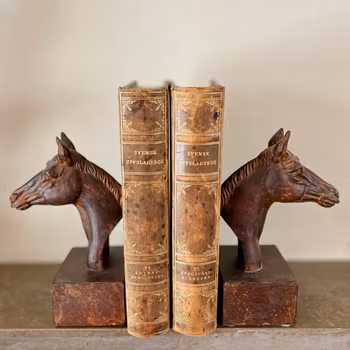 Bokstöd hästar