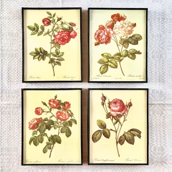 Fyra tavlor med rosor
