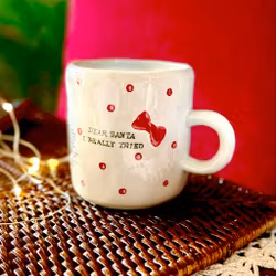 Kopp Dear Santa I really tried
