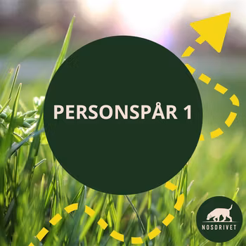 Intresse - Personspår 1 Lomma, start SOMMAR/HÖST 25