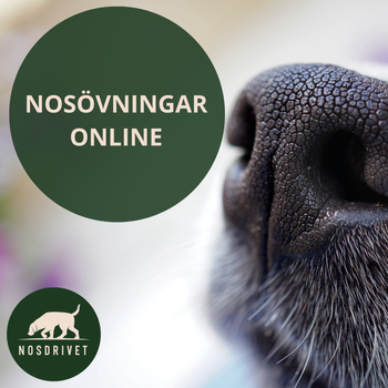 Nosövningar - ONLINE