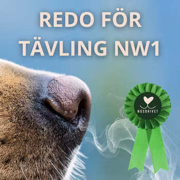 Workshop - Redo för tävling NW1