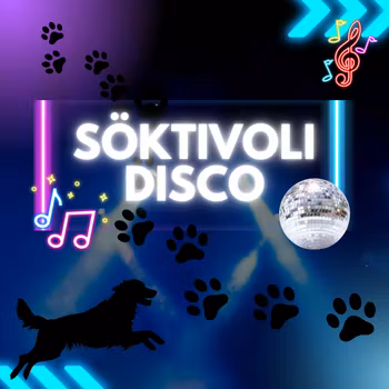 SÖKTIVOLI - DISCO