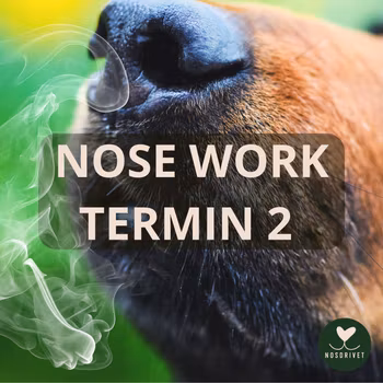 Nose Work TERMIN 2